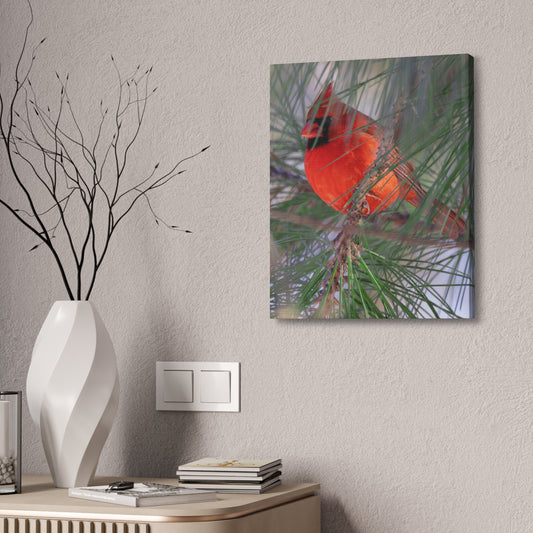 Through The Pine | Canvas