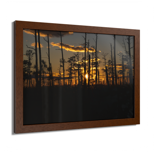 Blackwater Golden Glow Wood Framed Print