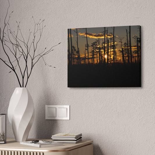 Blackwater Golden Glow | Canvas