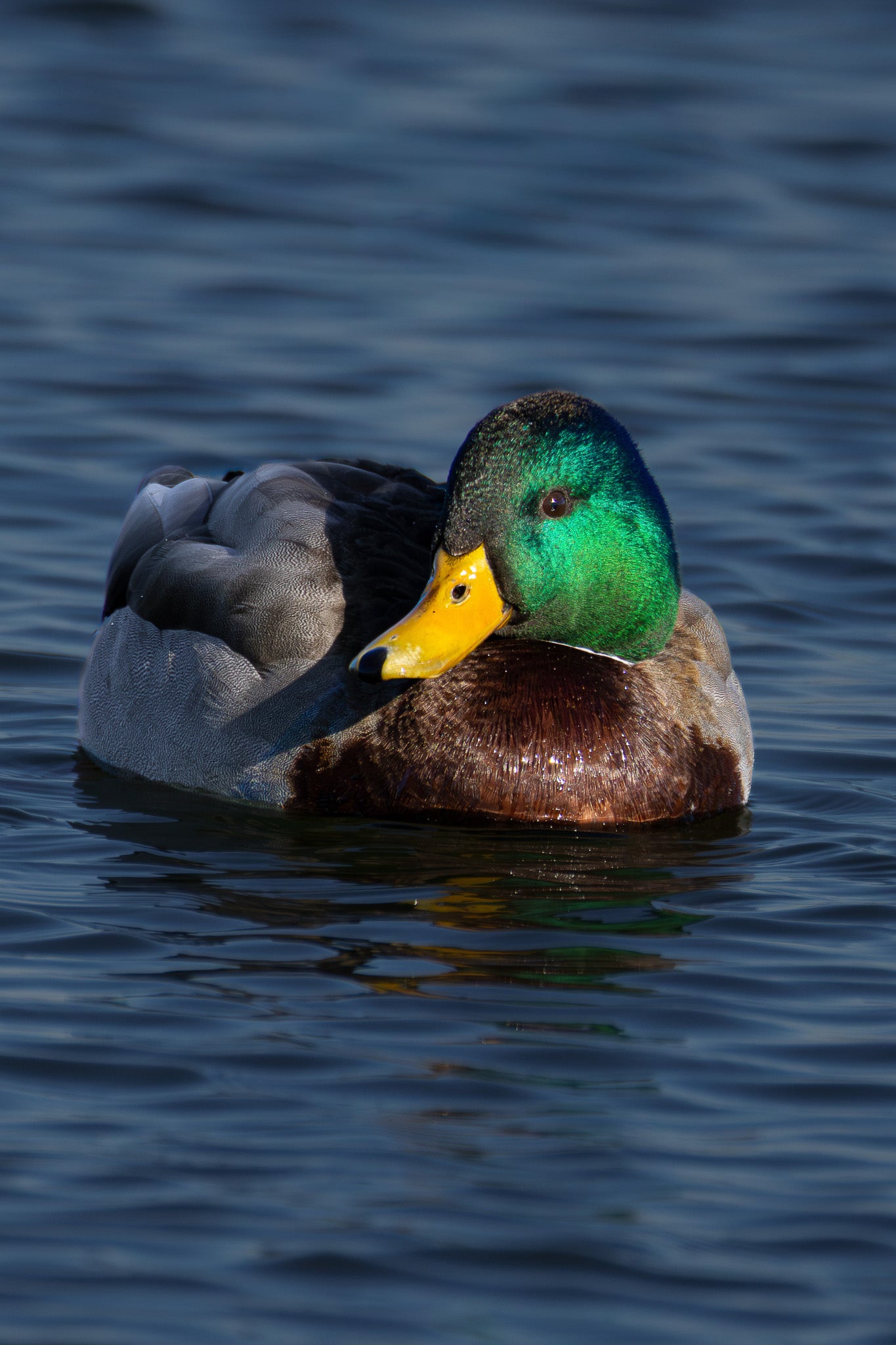 Emerald Reflection Digital Download
