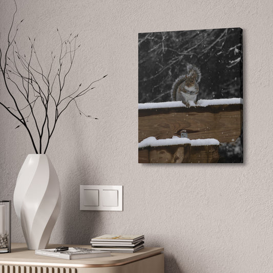 Eastern Gray Squirrel Canvas