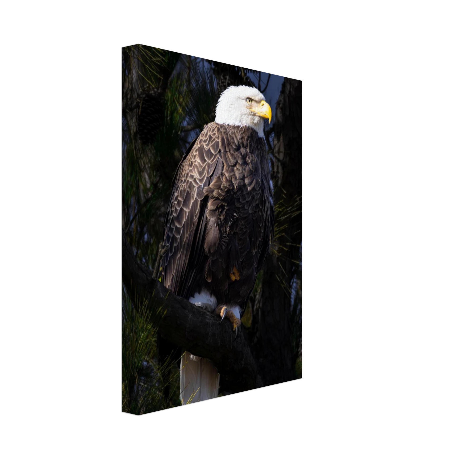 05926ffa-8d53-4b52-864a-4e3c6b833b21