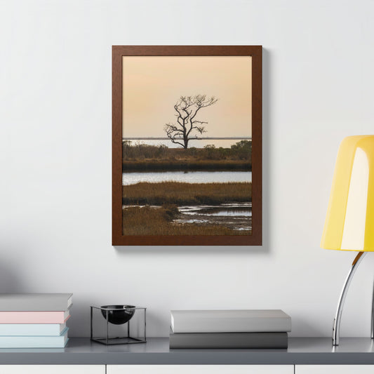 Saltwater Solitude Assateague Wood Framed Print