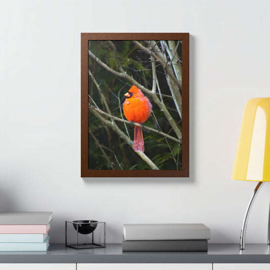 The Northern Cardinal Wood Framed Print