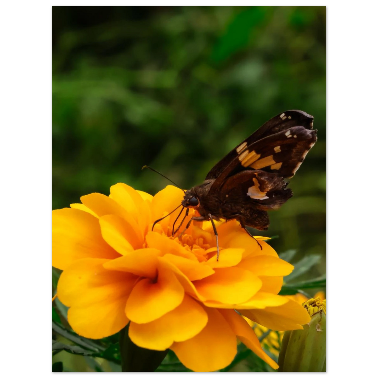 4c67b515-f467-488e-9b2d-46fa0cb9e19c
