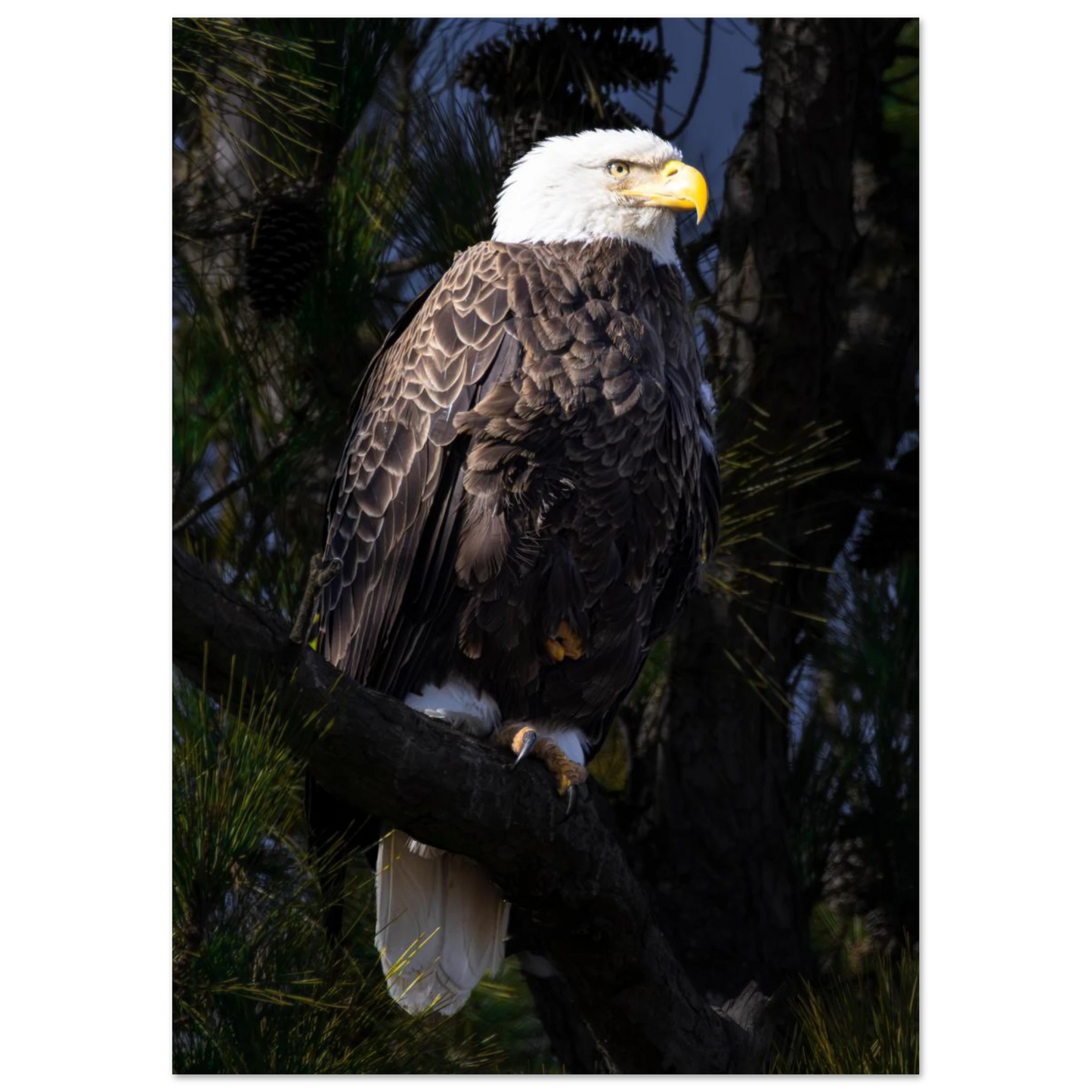 5b197c59-374d-41e5-8b35-6cdbaae190f4