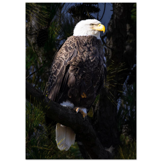 5b197c59-374d-41e5-8b35-6cdbaae190f4