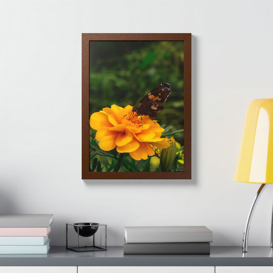 Golden Moment Butterfly Wood Framed Print