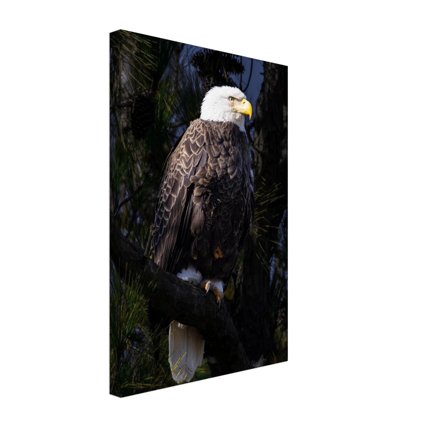 78984def-fc6a-41d6-ac0f-c548a4040572