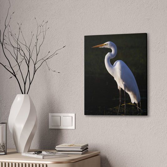 Ghost Of The Marsh | Canvas