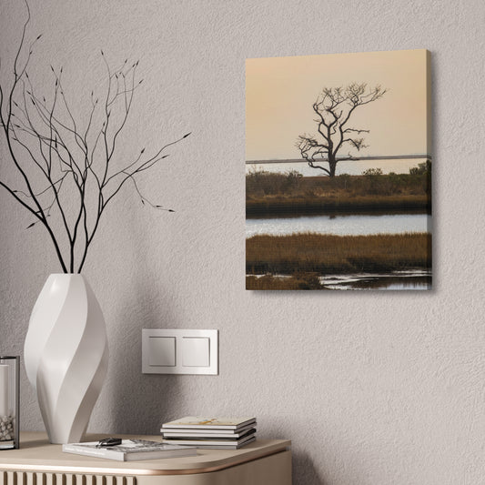 Saltwater Solitude Assateague Canvas