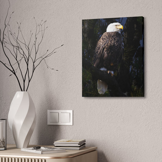 Blackwater's Finest | Canvas