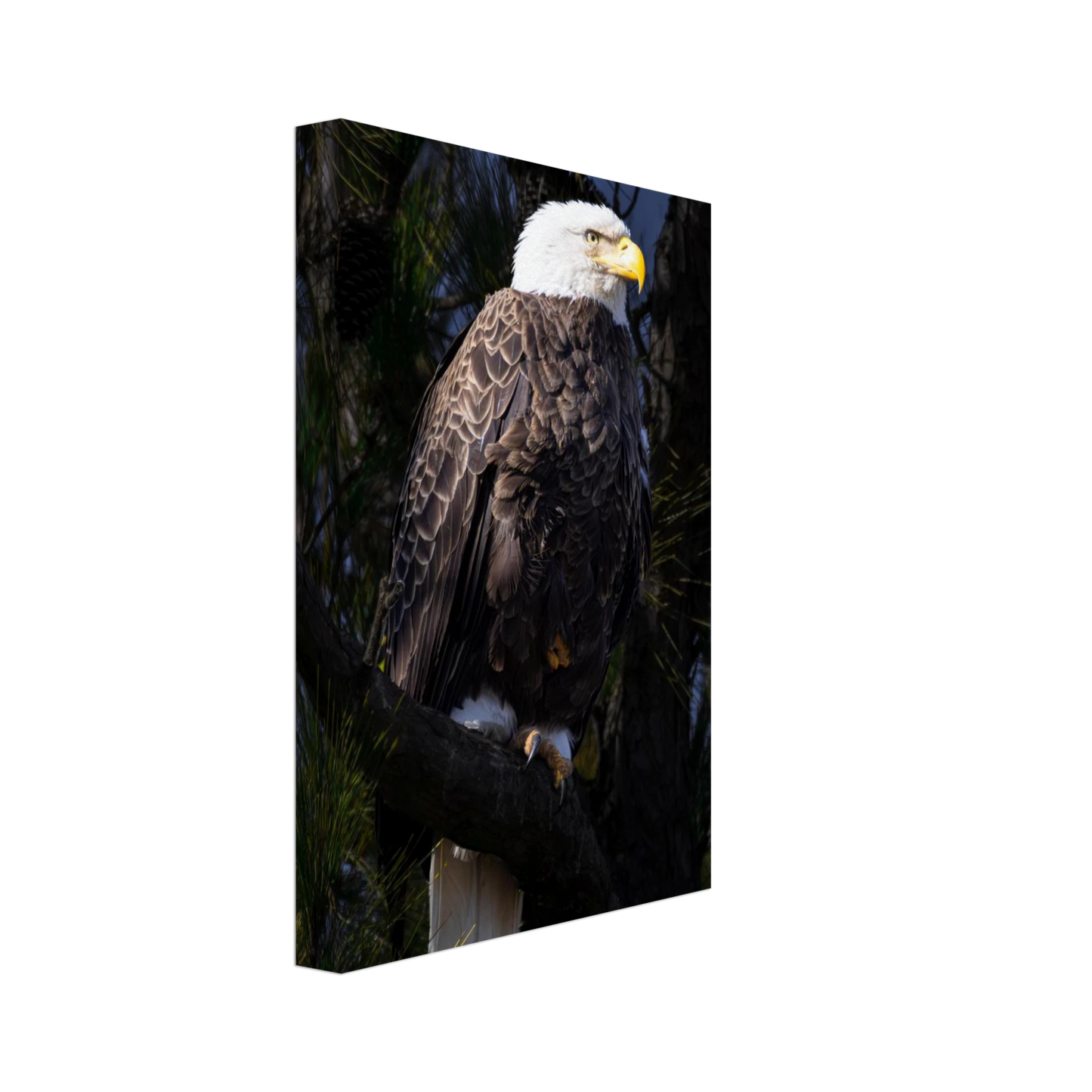 987f791a-089d-4daa-b5e8-b5dd8d883dd3