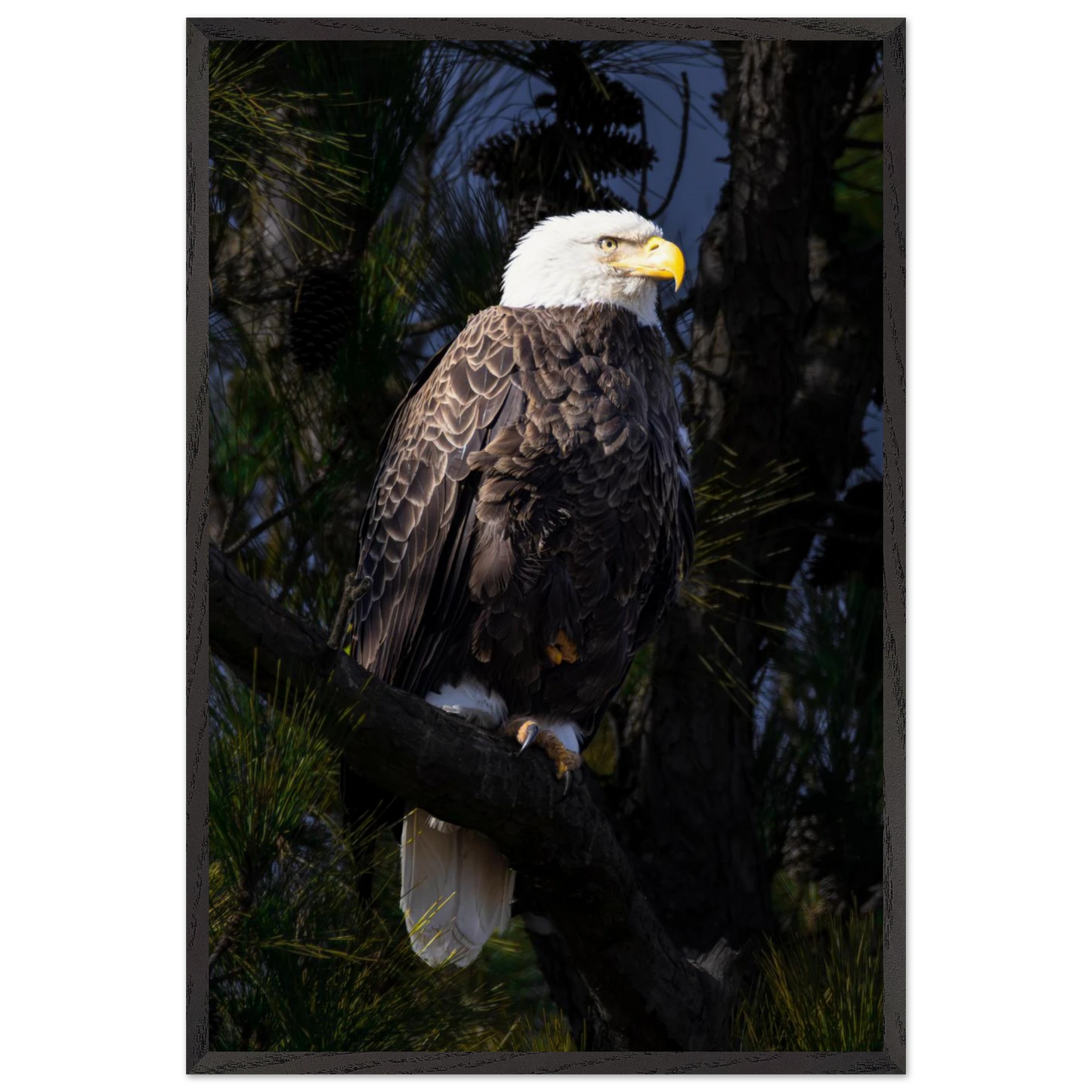 9a719580-7975-42a8-b8d8-66c661c5d917