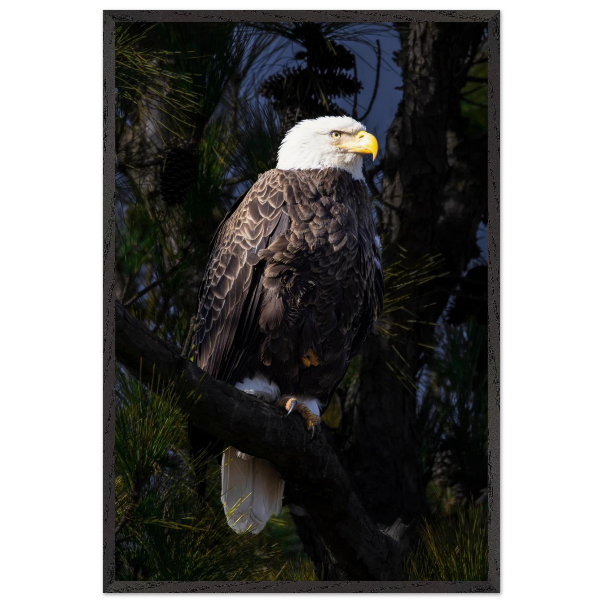 9a719580-7975-42a8-b8d8-66c661c5d917