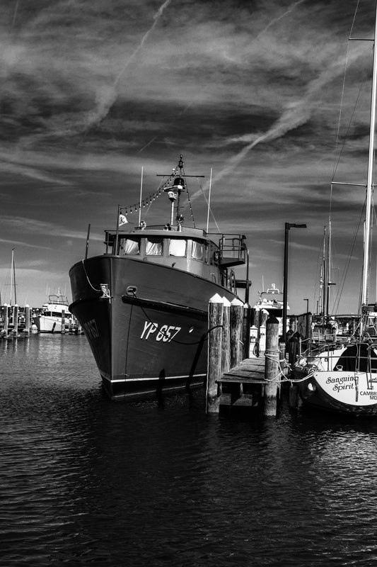 Monochrome Marina Digital Download