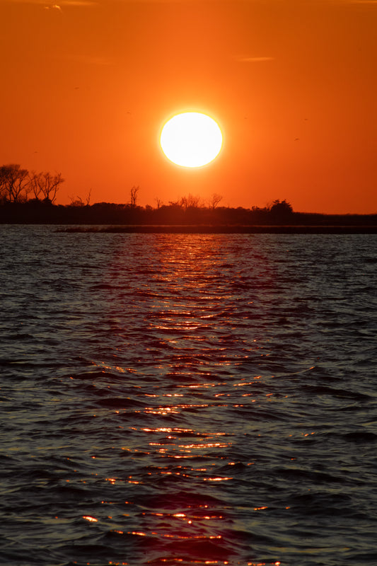 Reflections Of Tranquility Digital Download