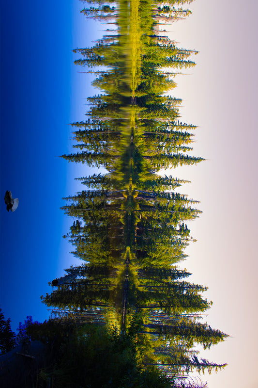 Shattered Horizon Digital Download