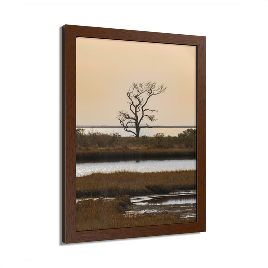 Saltwater Solitude Assateague Wood Framed Print
