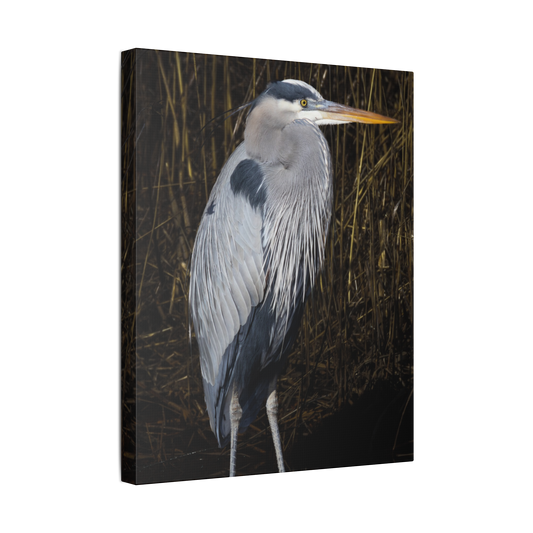 Stillness At Blackwater | Canvas