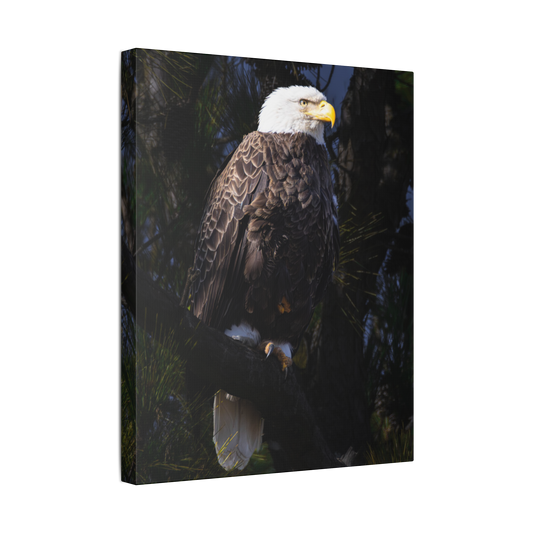 Blackwater's Finest | Canvas