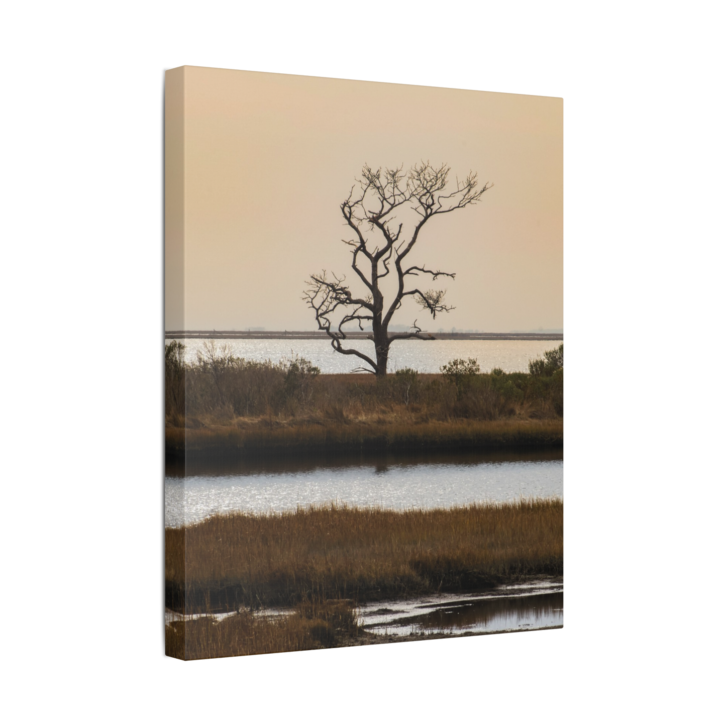 Saltwater Solitude Assateague | Canvas