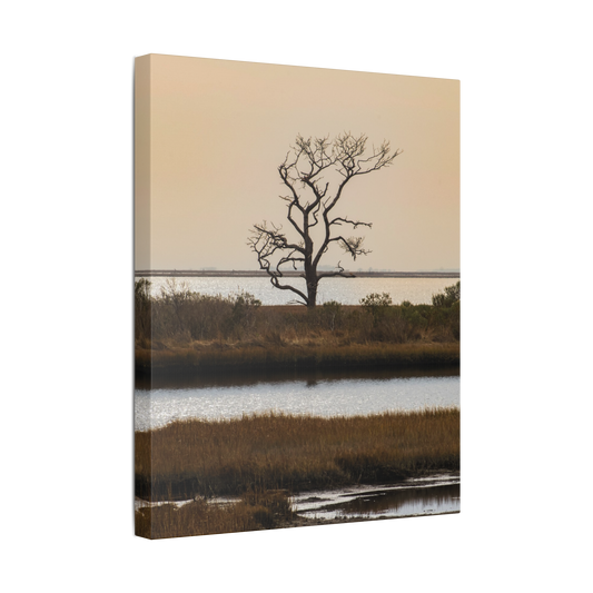 Saltwater Solitude Assateague | Canvas