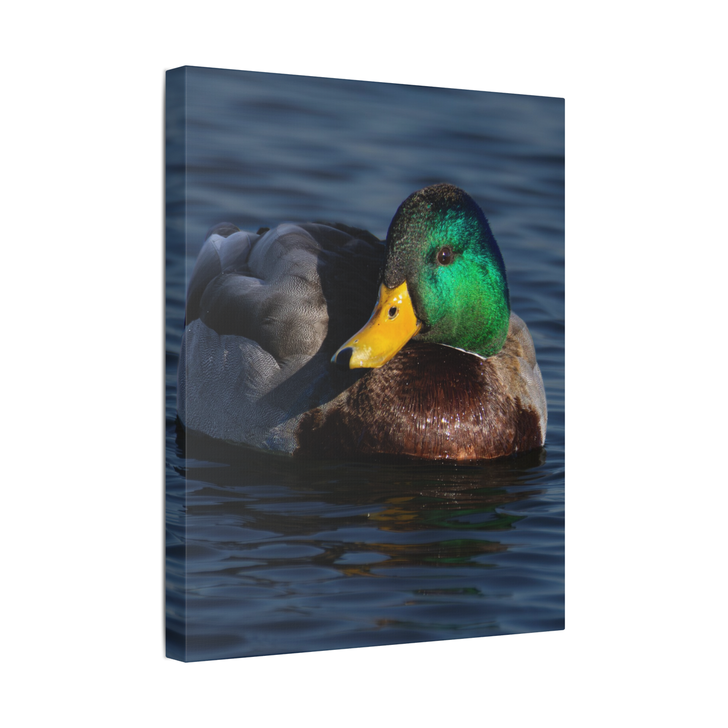 Emerald Reflection | Canvas