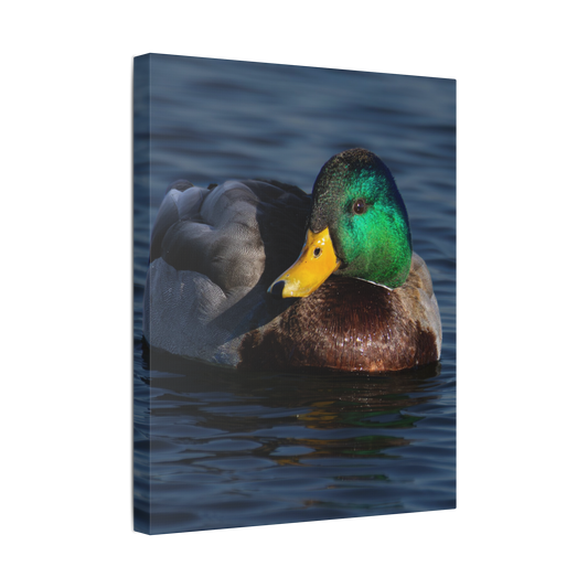 Emerald Reflection | Canvas
