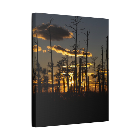 Skeleton Forest | Canvas
