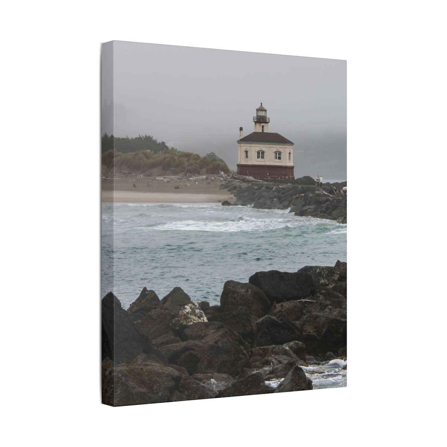 Sentinel In The Gray | Canvas