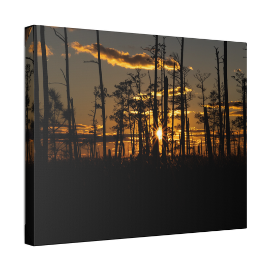 Blackwater Golden Glow | Canvas