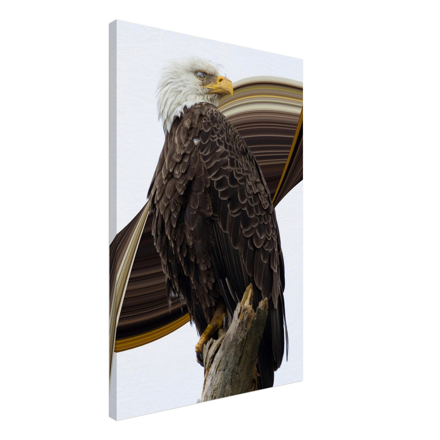 be24a78c-886f-4d1d-8da9-29c5eb144254