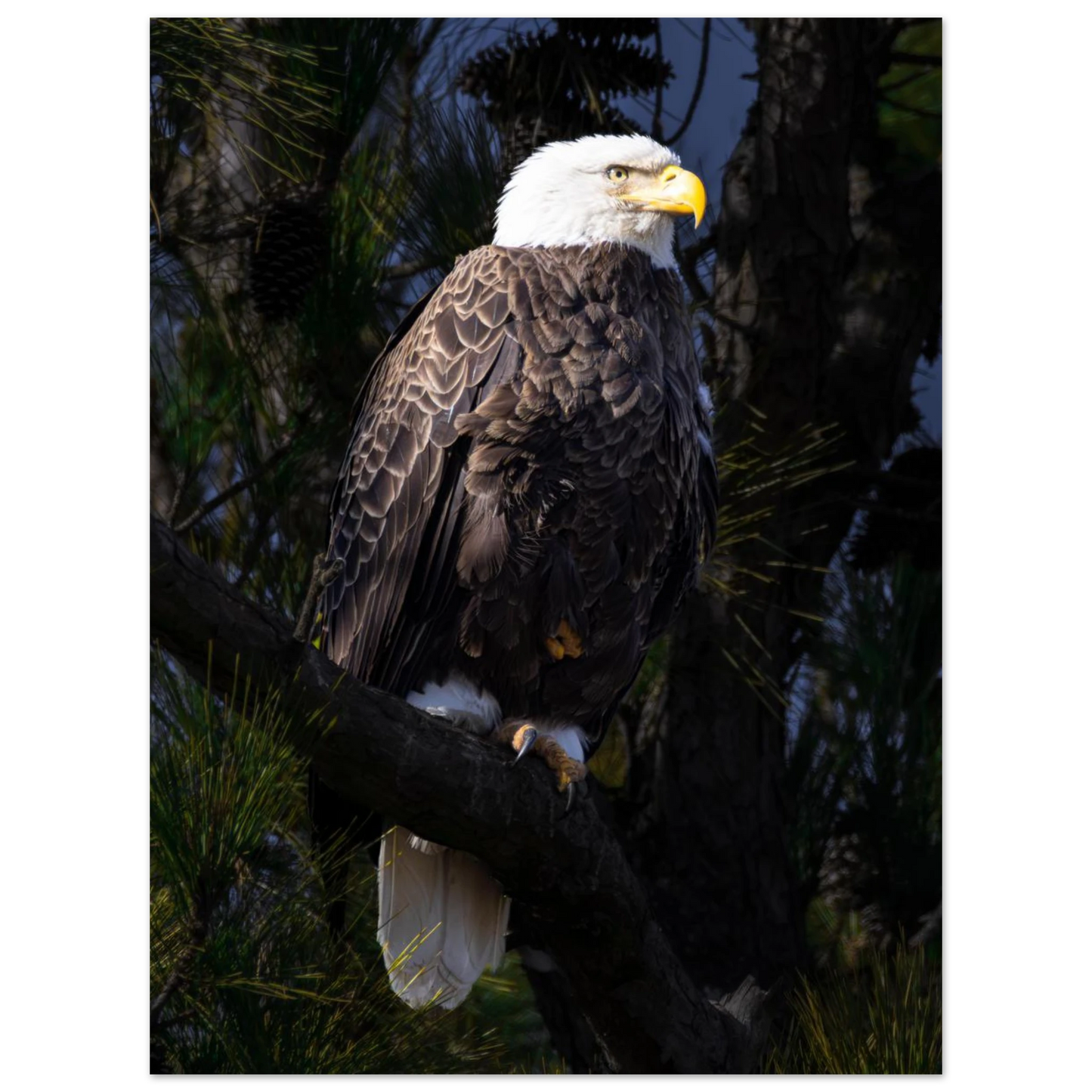 c026637d-67cd-4d83-81b3-9c79273b8ffe