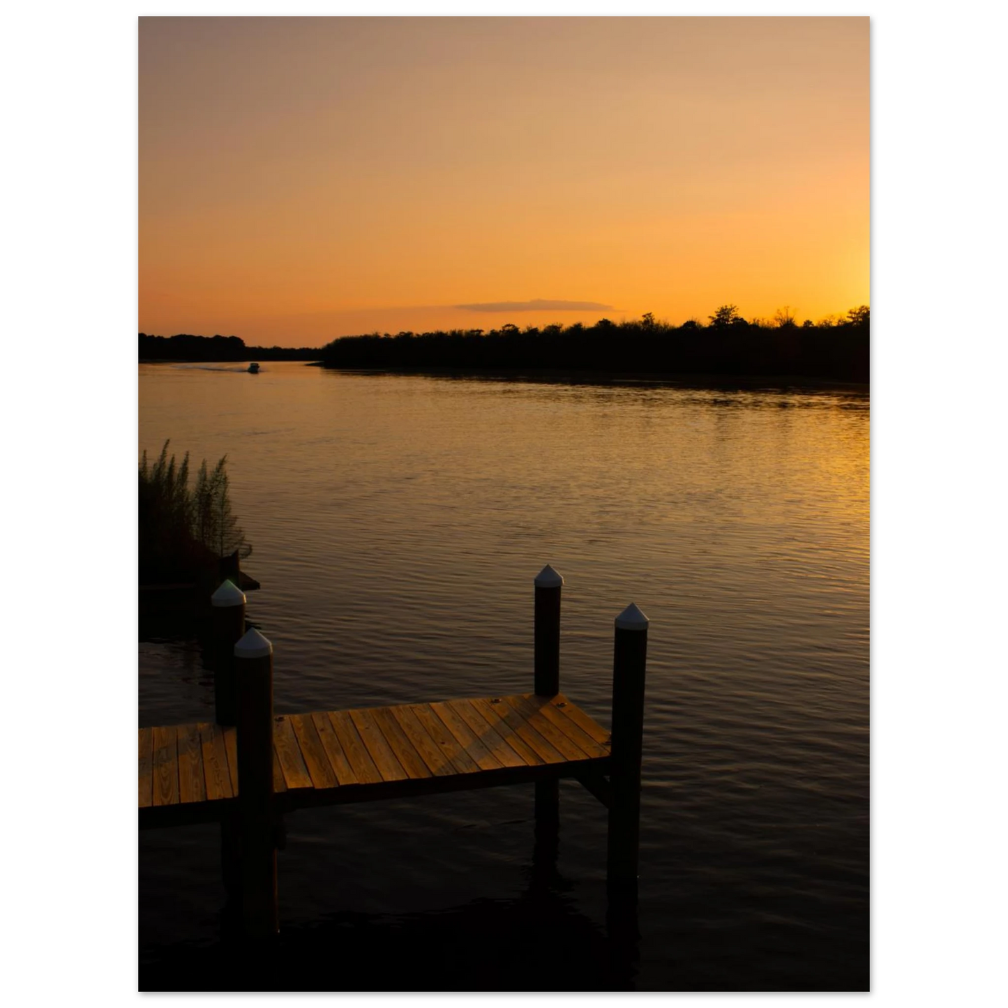 d0a26308-84b7-41dd-8e70-2045fa5b4207