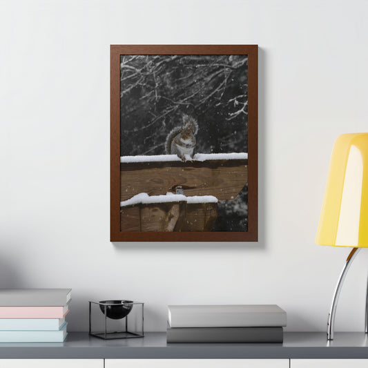 Eastern Gray Squirrel Wood Framed Print