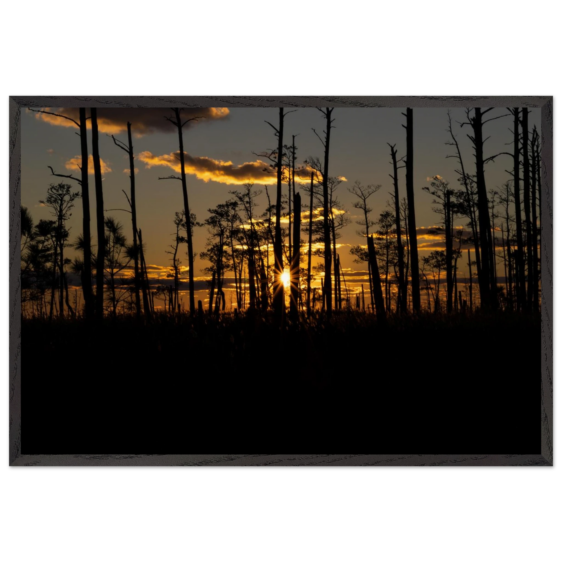 e6578175-a770-4d1a-8348-554249df2de0
