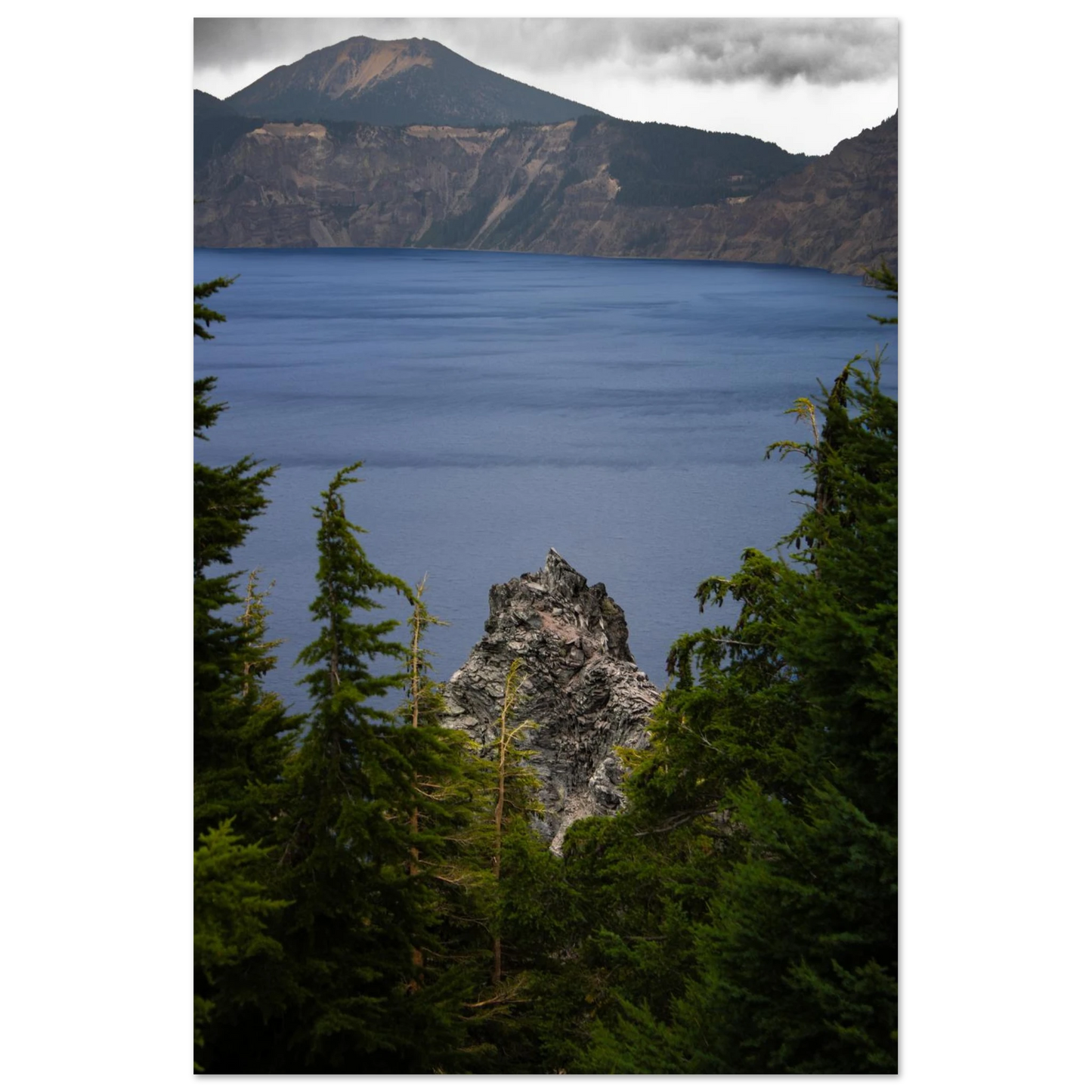 ea200591-1a12-451d-b029-5cdd7c579d6a