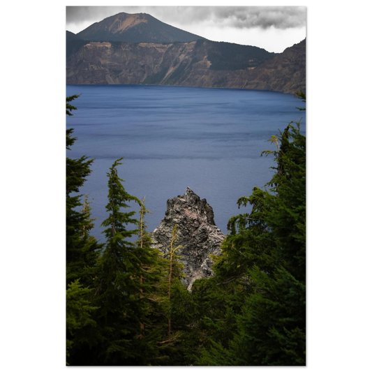 ea200591-1a12-451d-b029-5cdd7c579d6a