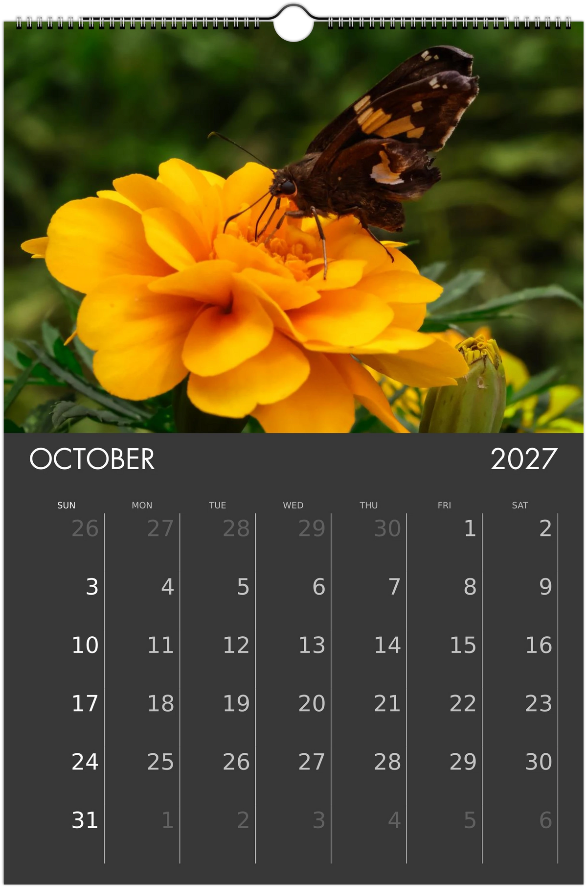 Eastern Shore 2027 Calendar