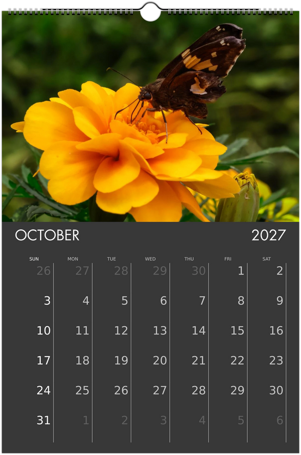 Eastern Shore 2027 Calendar
