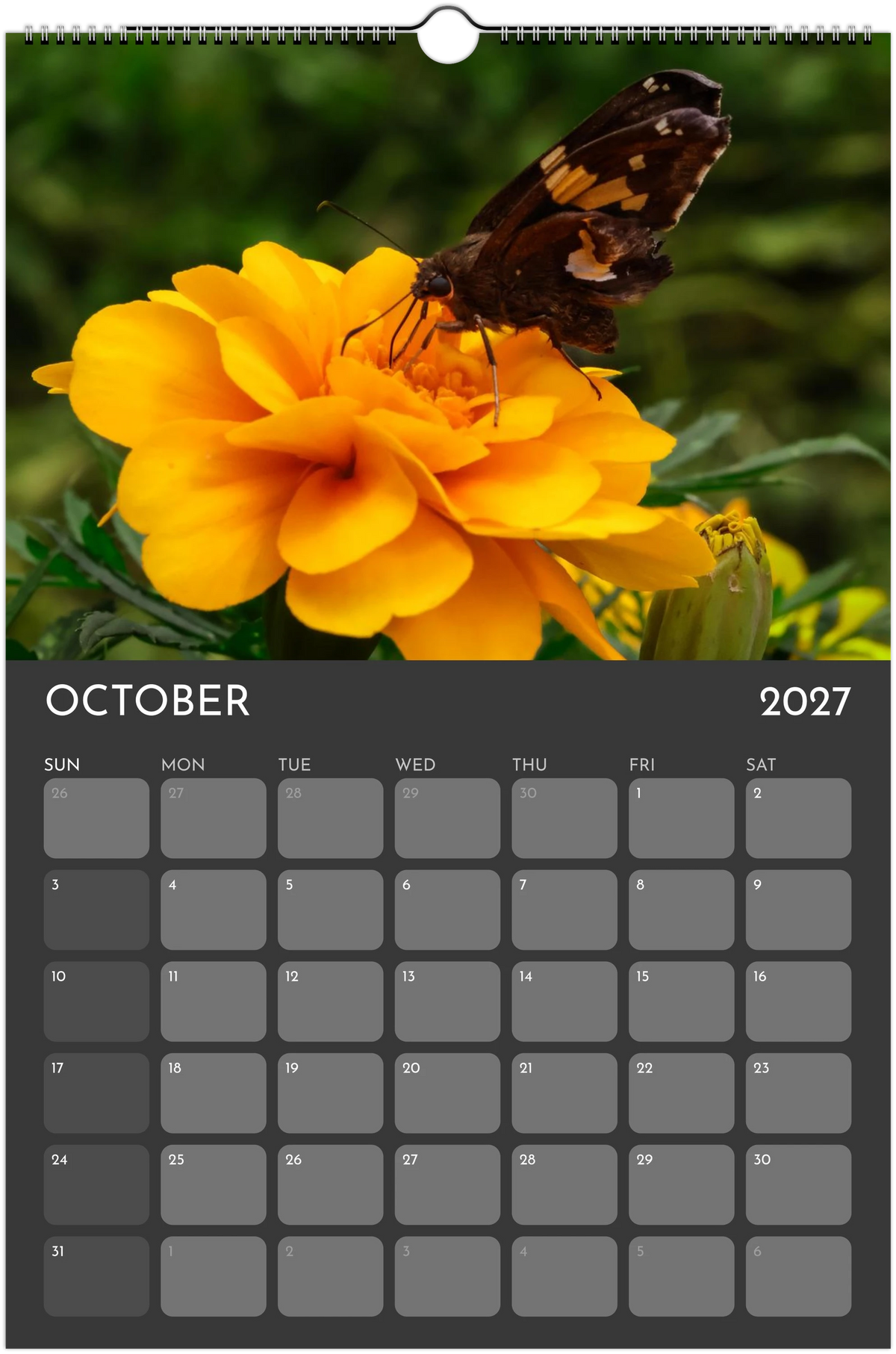 Eastern Shore 2027 Calendar