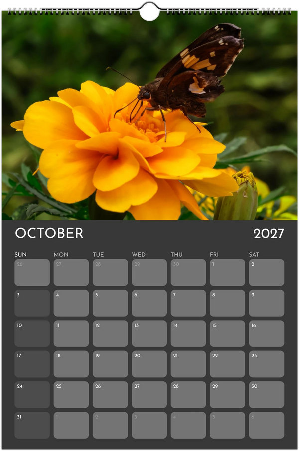 Eastern Shore 2027 Calendar