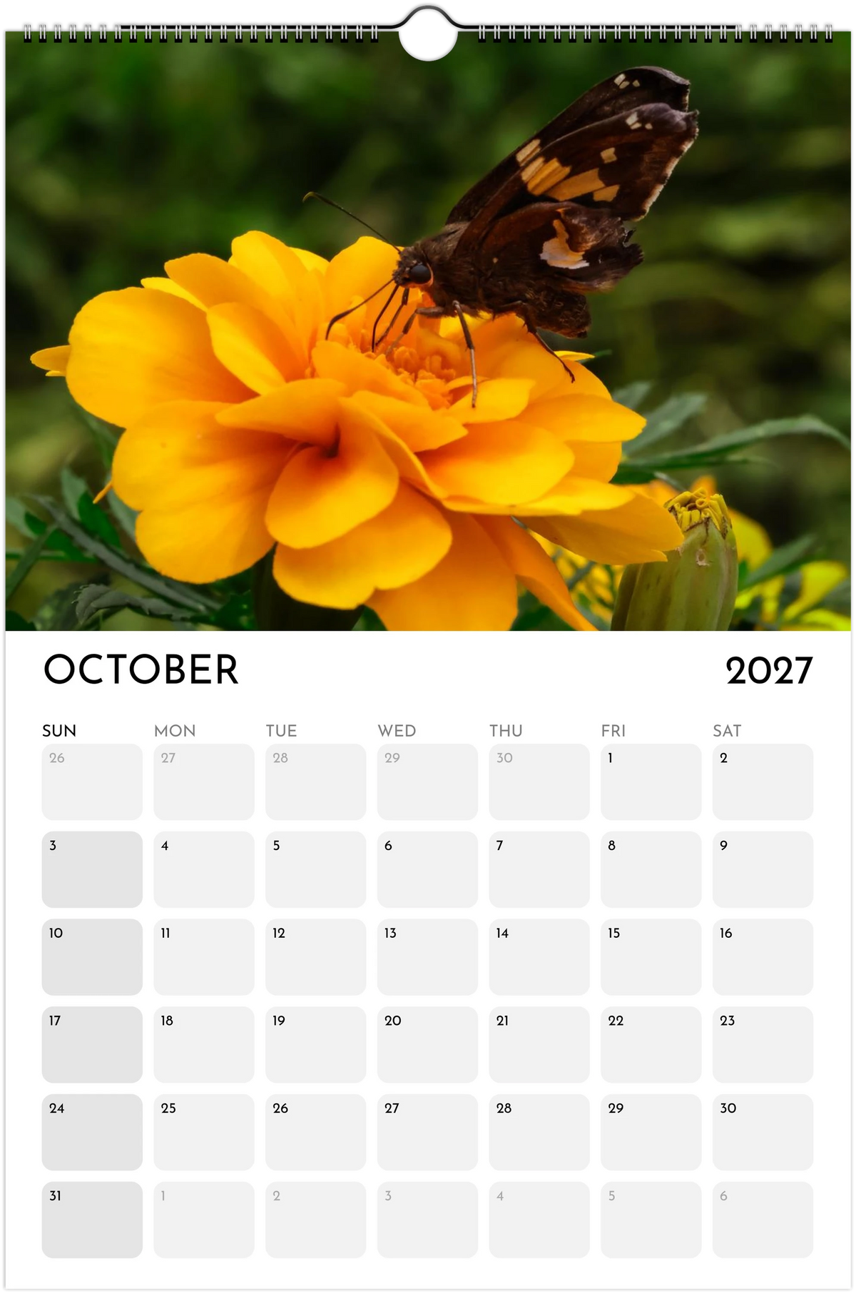 Eastern Shore 2027 Calendar