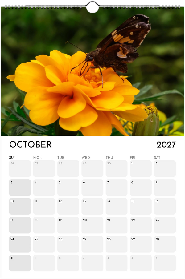 Eastern Shore 2027 Calendar