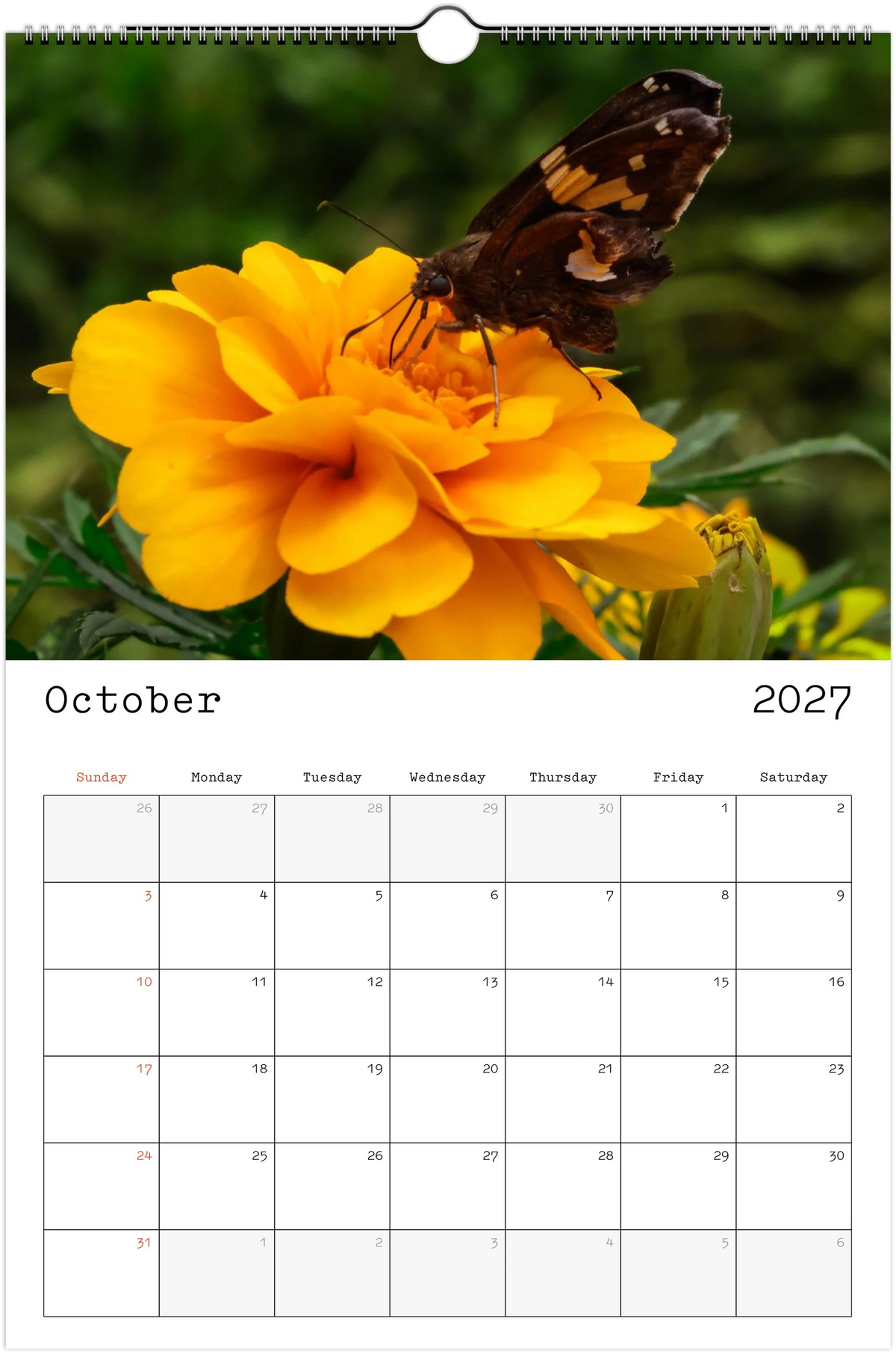 Eastern Shore 2027 Calendar