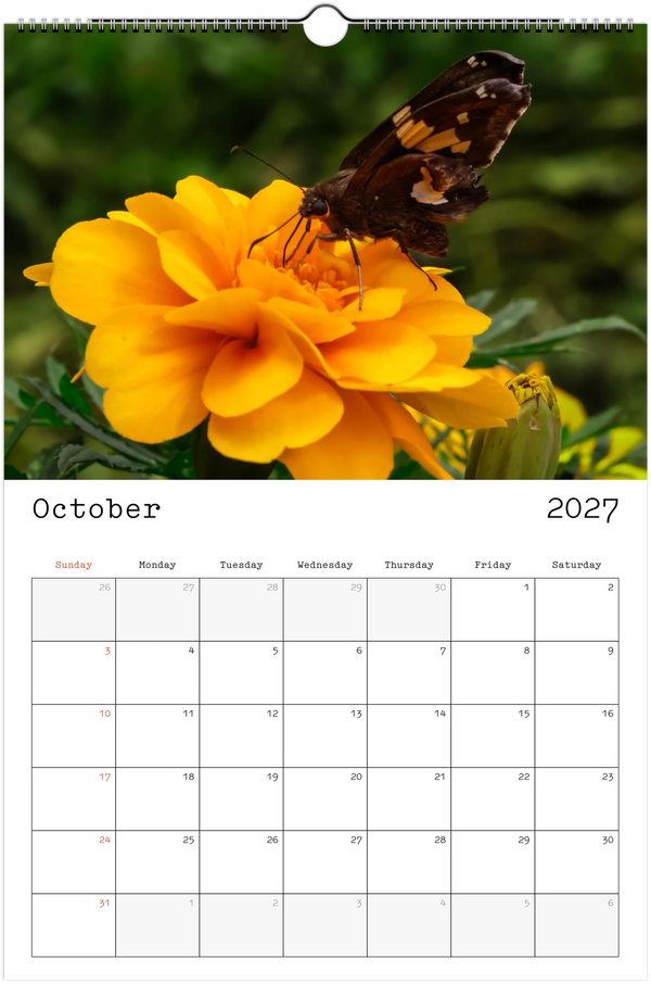 Eastern Shore 2027 Calendar