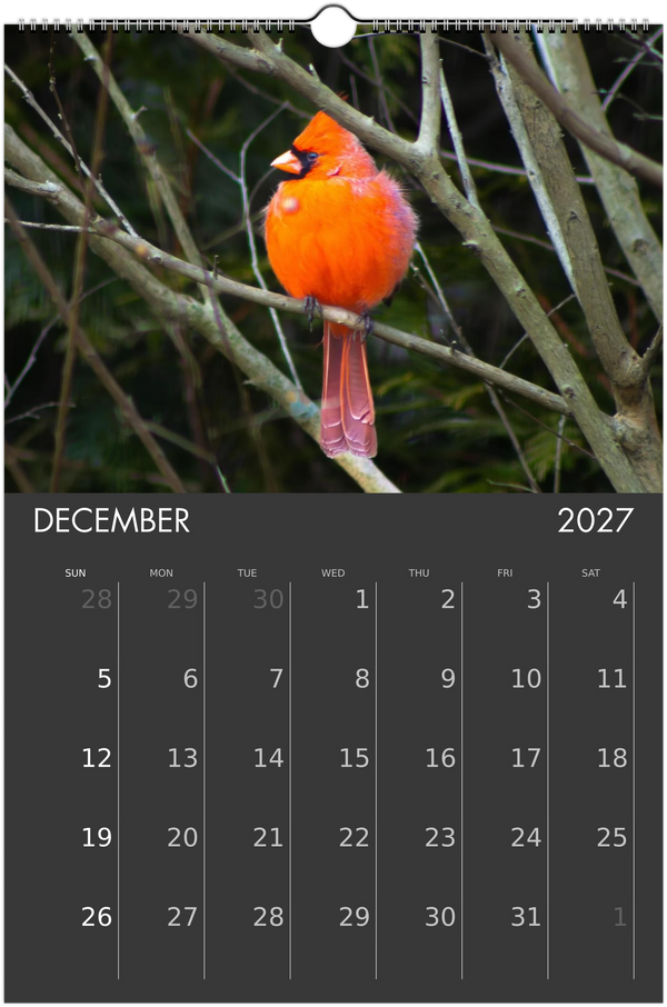 Eastern Shore 2027 Calendar