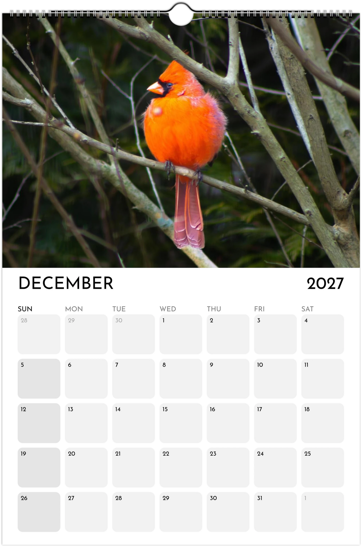 Eastern Shore 2027 Calendar