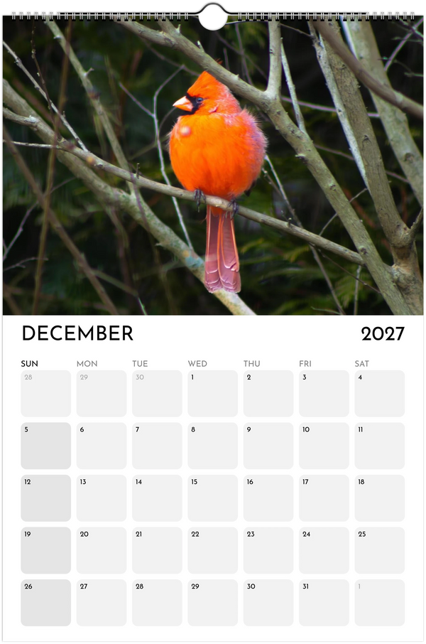 Eastern Shore 2027 Calendar